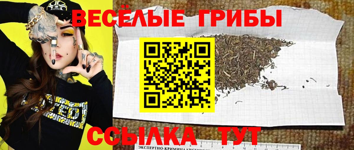 Псилоцибиновые грибы MAGIC MUSHROOMS  Вход с VPN  закладка  Коряжма 